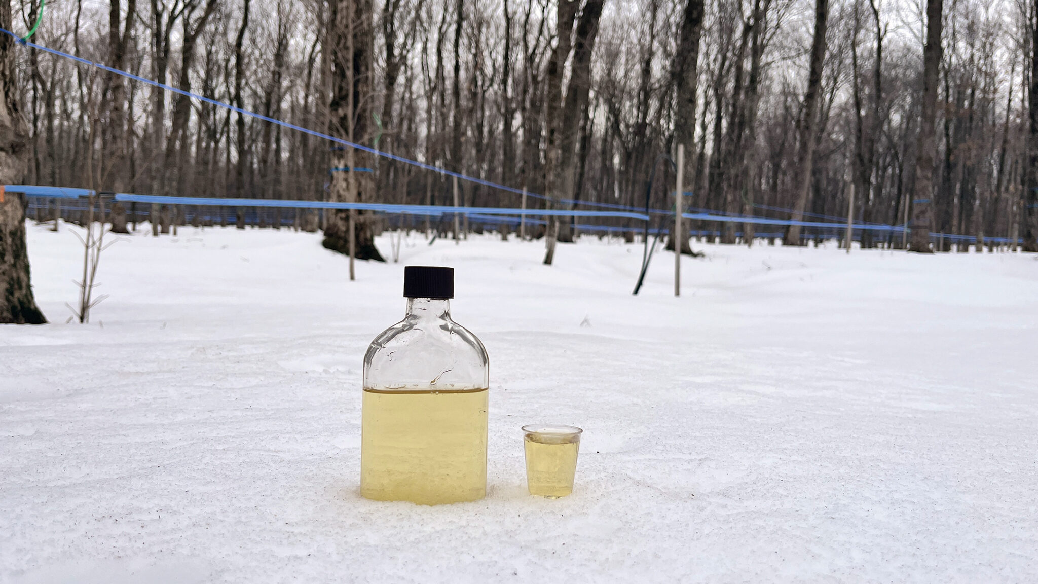 L'EAU D'ÉRABLE CONCENTRÉE : Les équipements d'érablière CDL